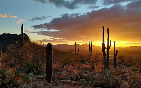 arizona sky porn|Arizona Sky Porn Videos XXX